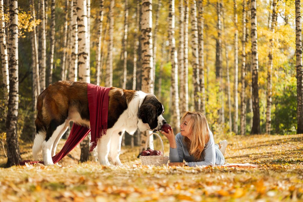 Photograph by кермит