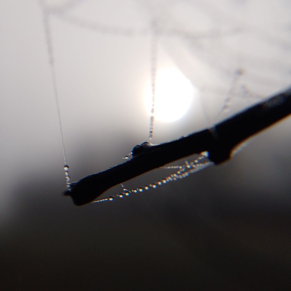 Photo #12862669