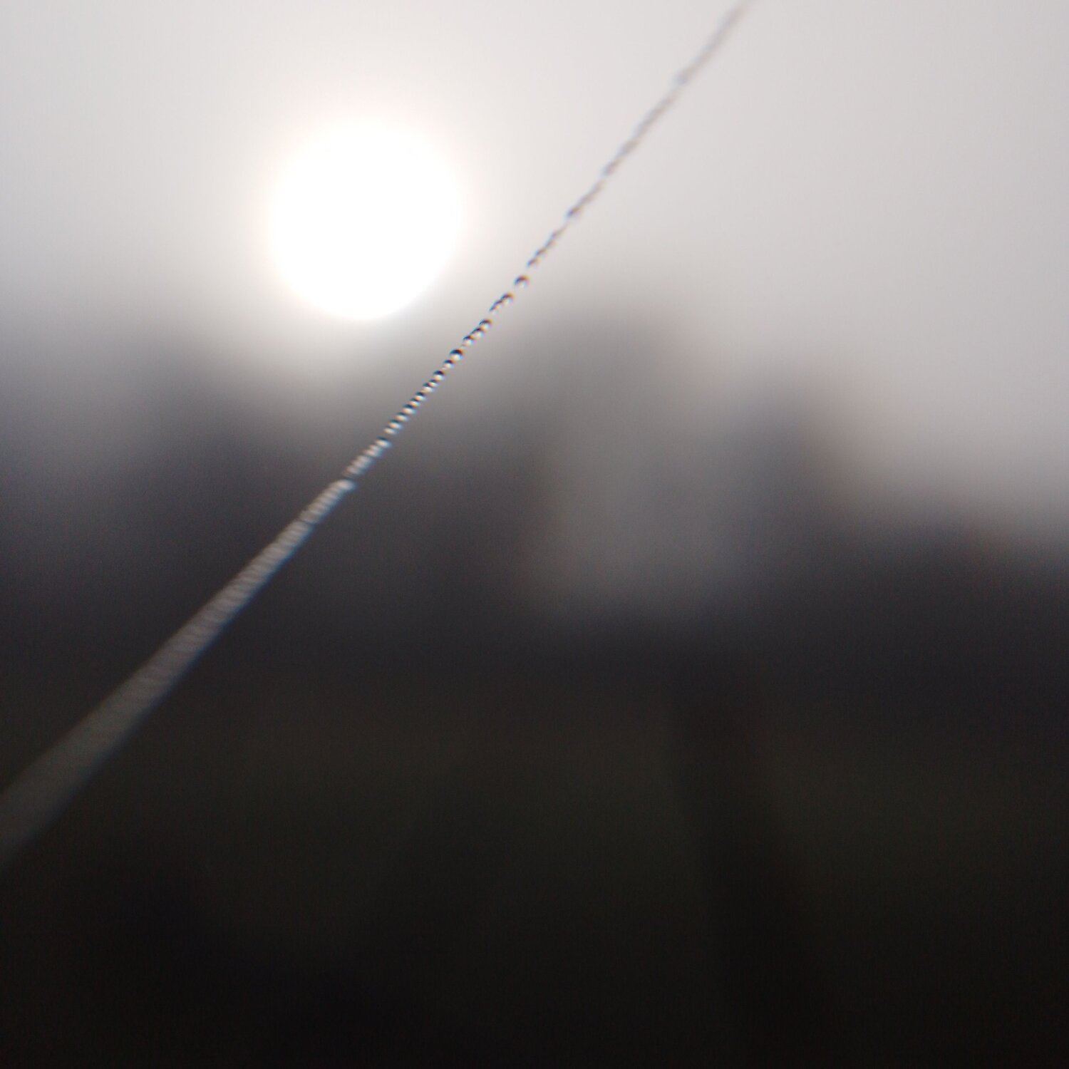 Photo #12862671