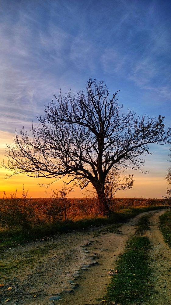 Photograph by Анна Павлова