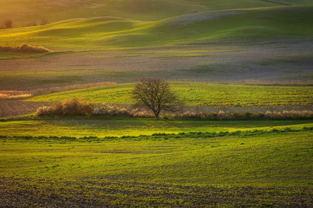 Photograph by Алекс Римский