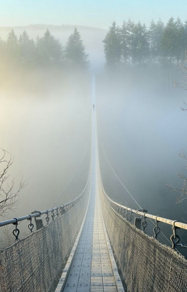 Photograph by Юлия Борт