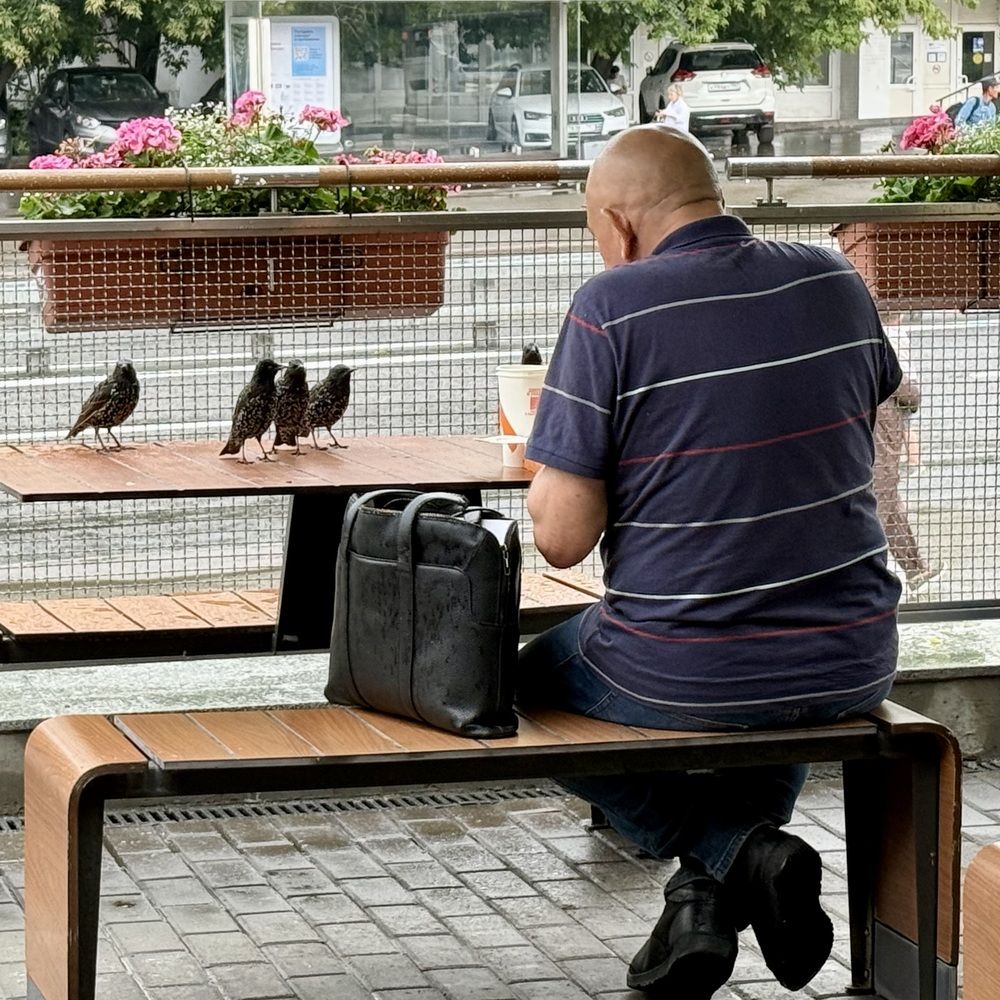 Photograph by Олег Дорошенко