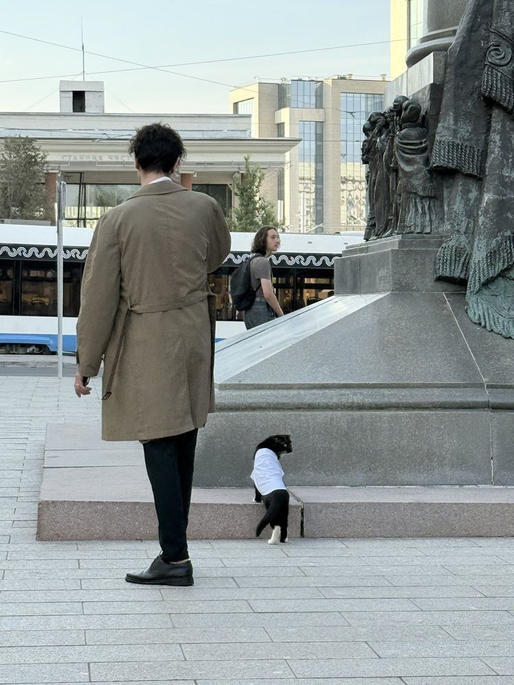 Photograph by Олег Дорошенко