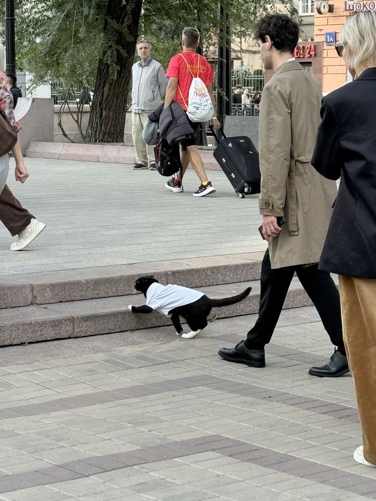 Photograph by Олег Дорошенко