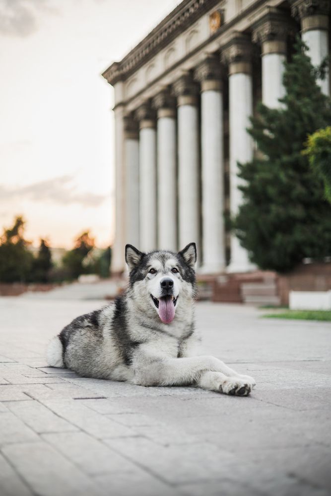 Photograph by кермит