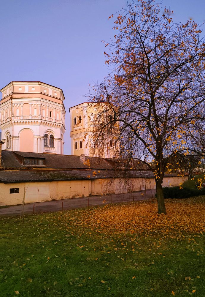 Фотография автора Нестеренко Светлана