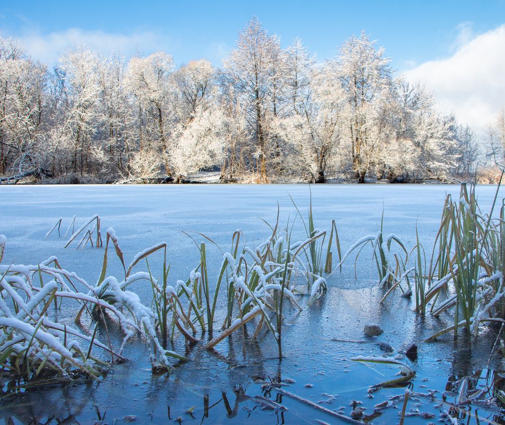 Photograph by Михаил Коган