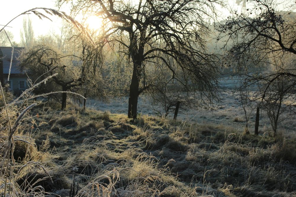 Photograph by Maciej Morgiel