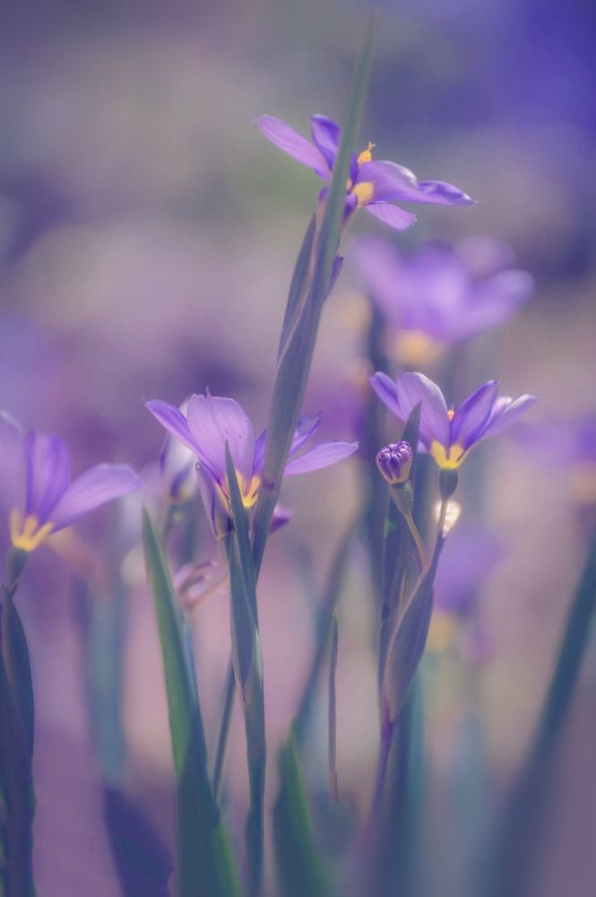 Фотография автора Katerina Georgieva