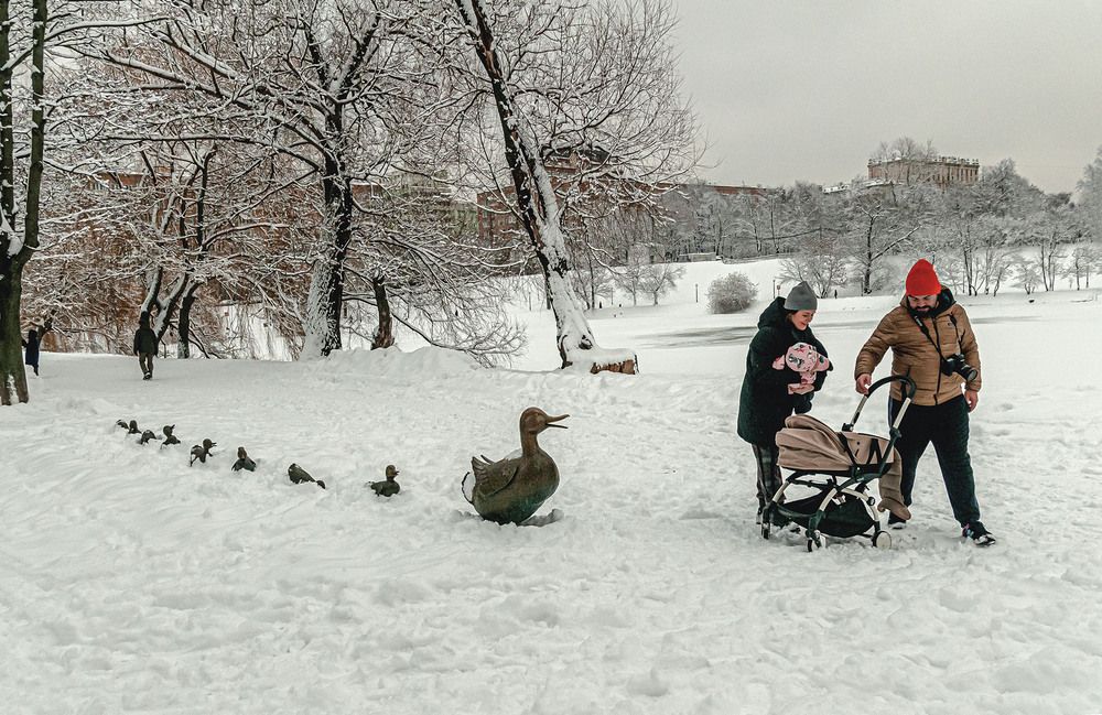 Photograph by Vladimir  Komarov