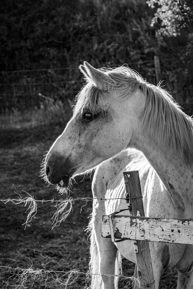 Фотография автора Catarina Almeida