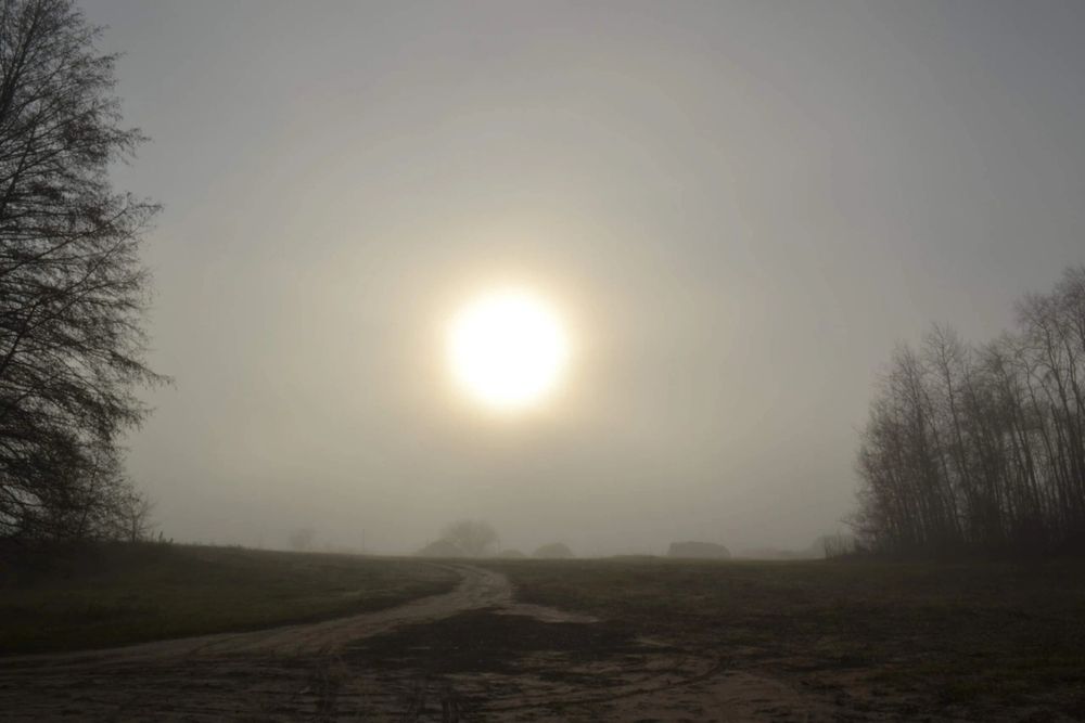Photograph by Елена Дубовикова
