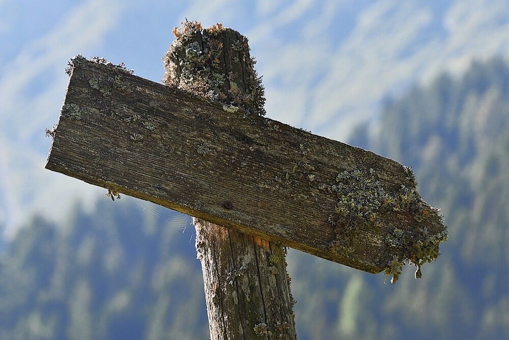Photograph by Marzio Fattorini