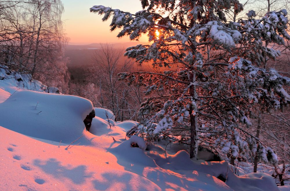Фотография автора Кухта Мария