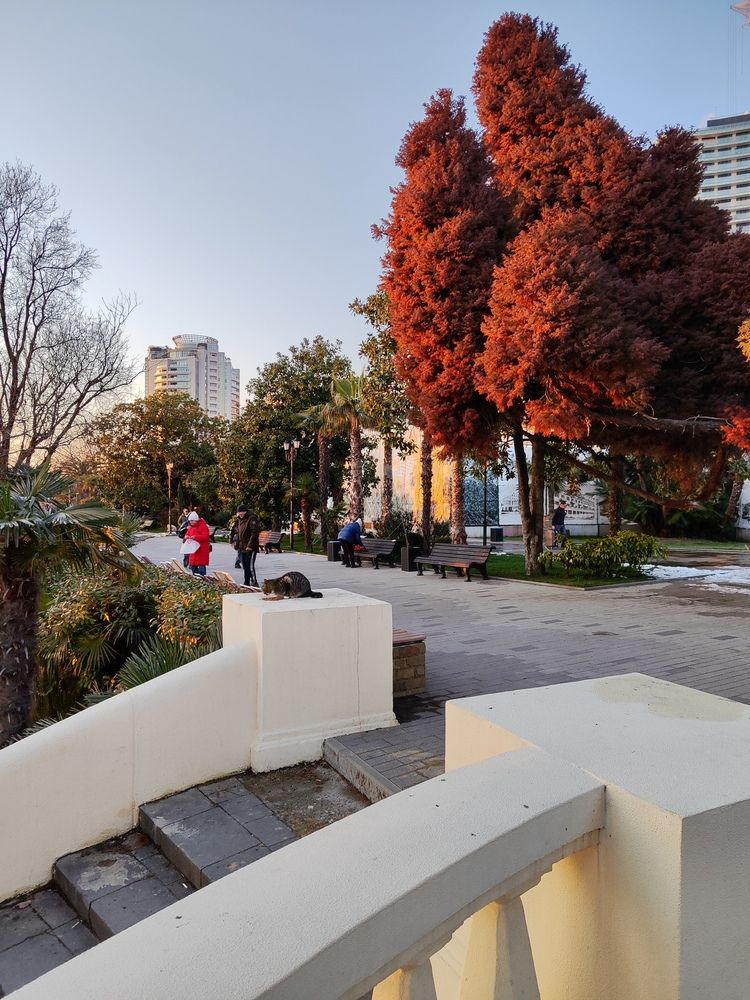 Photograph by Maksim