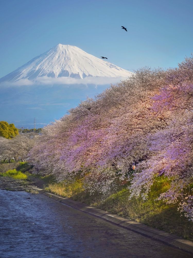 Photograph by Henri Fitriadi