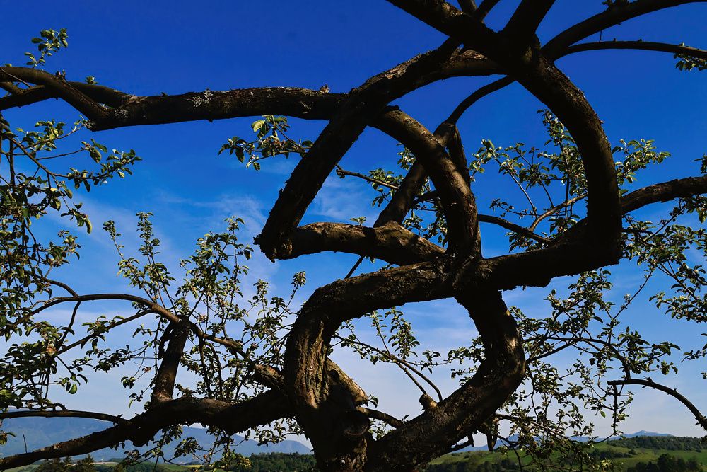 Photograph by Jozef Potocký