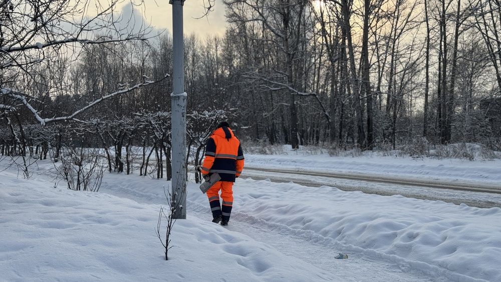 Photograph by Марина Мишутина