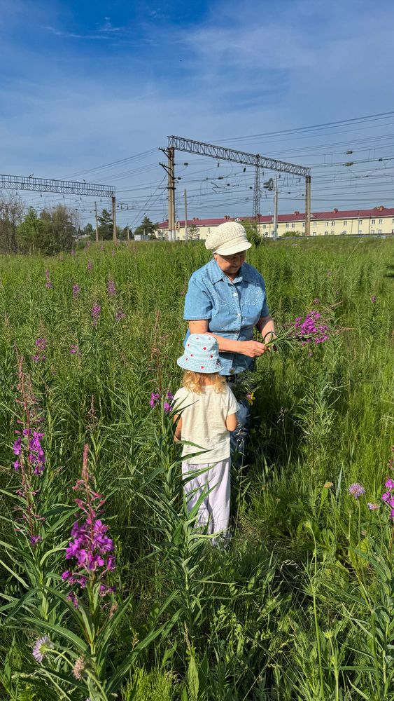 Photograph by Марина Мишутина