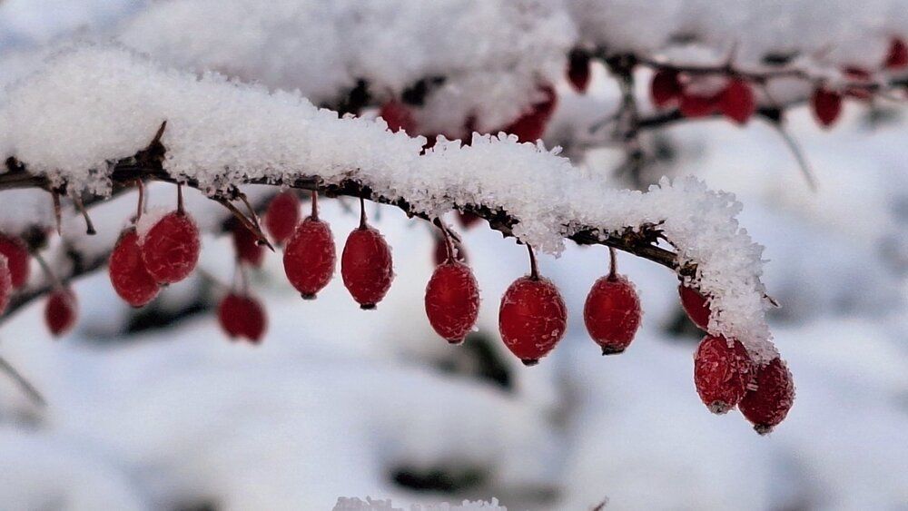 Photograph by Фёдор Викторович