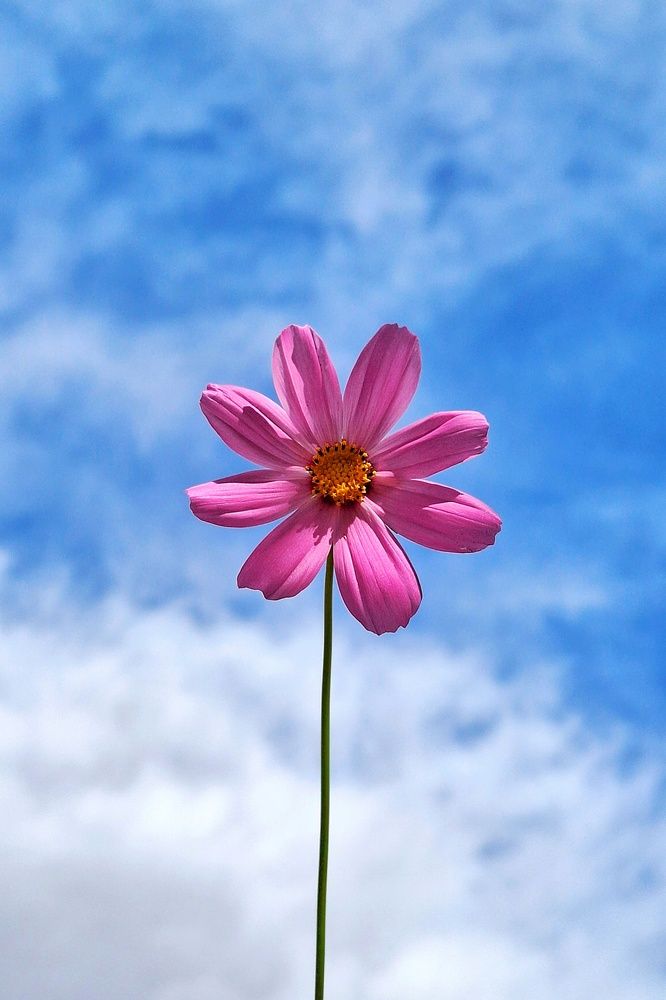Photograph by Zahra akbari