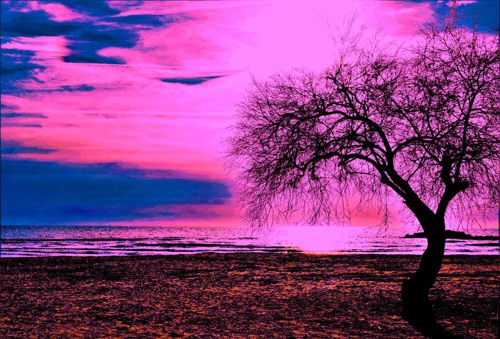 Photograph by Barbara Bonanno BNNRRB