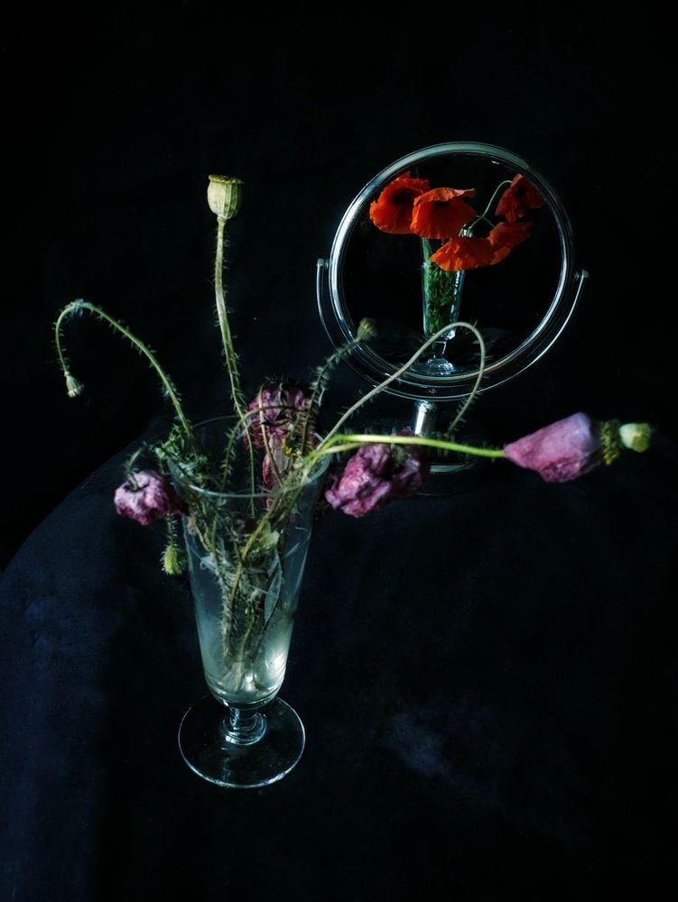 Photograph by Анастасия Ардасова
