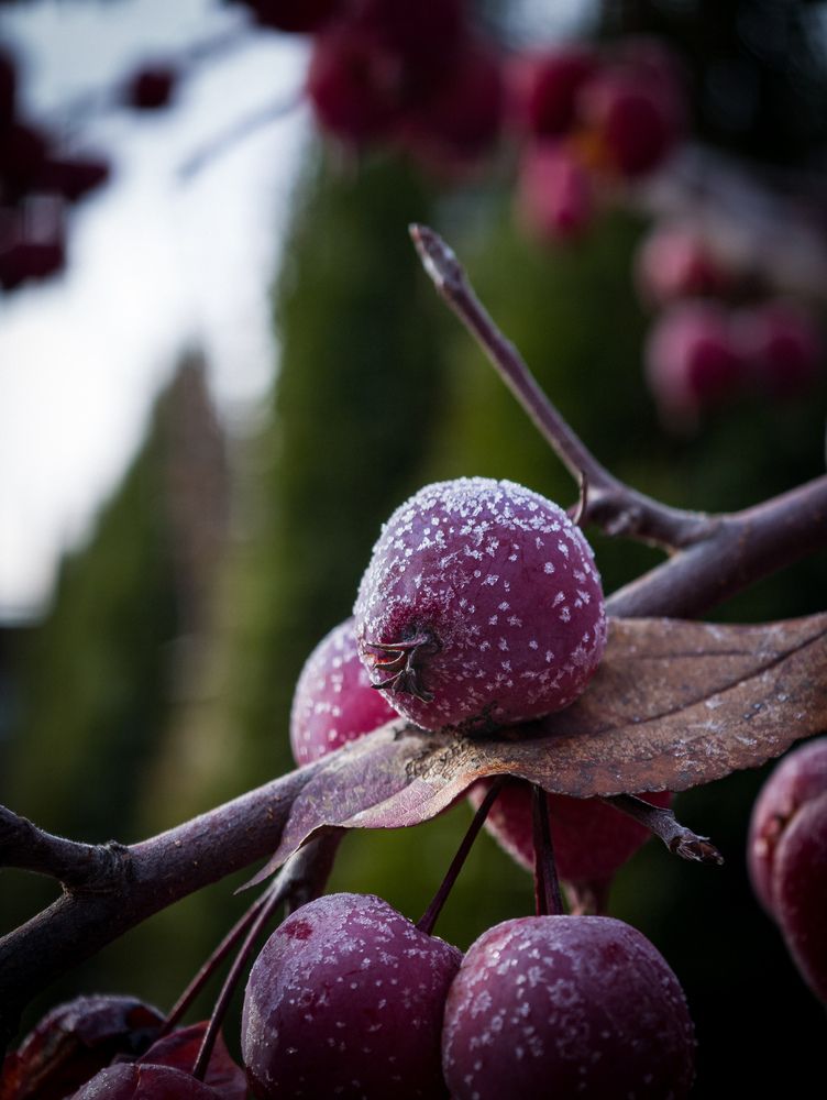 Photograph by Никита Красильников