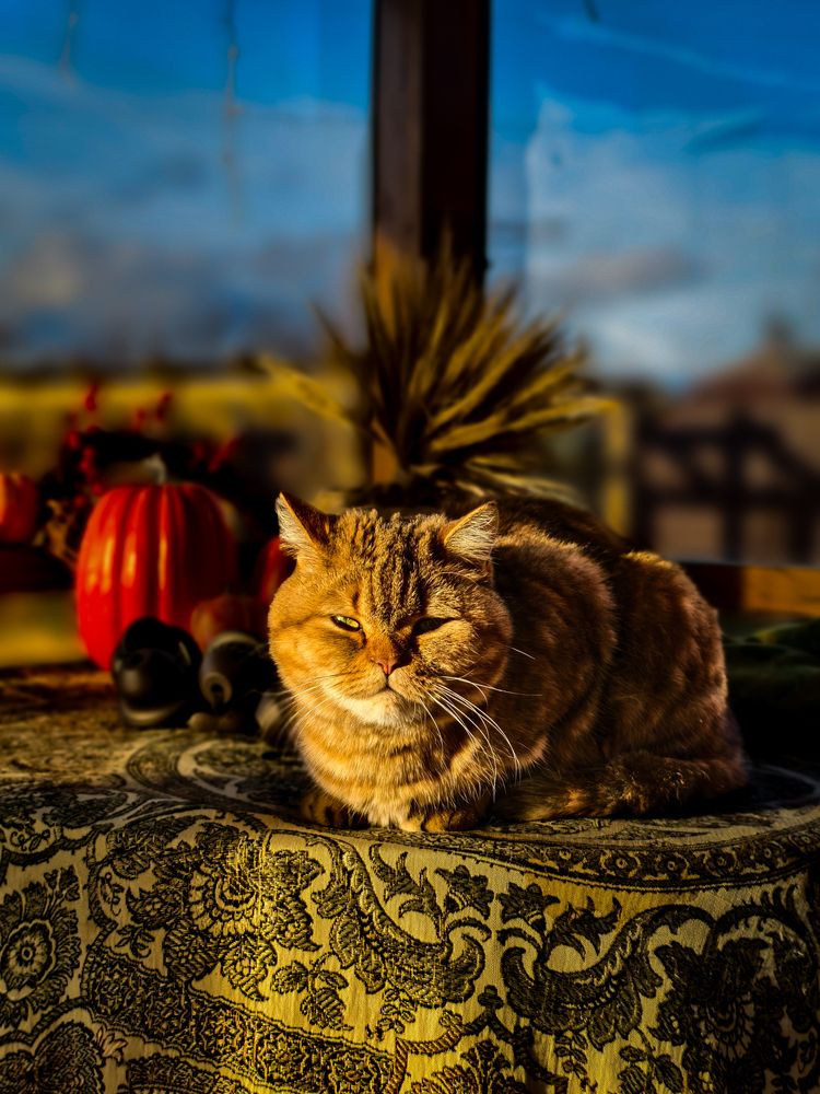 Photograph by Никита Красильников