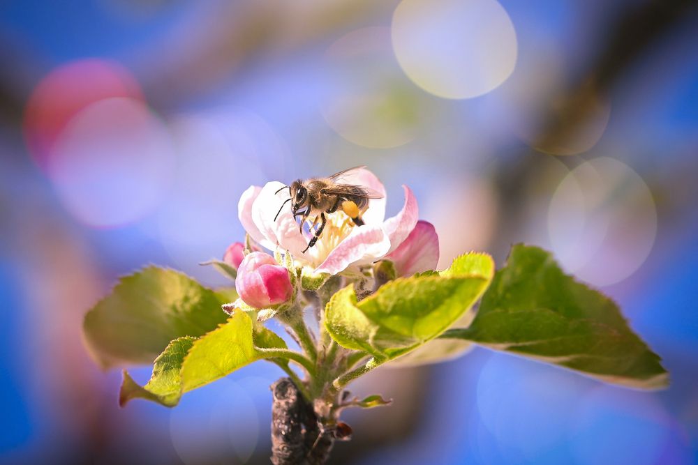 Photograph by Нели Арнаудова