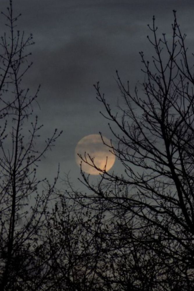 Photograph by Вероника Банан