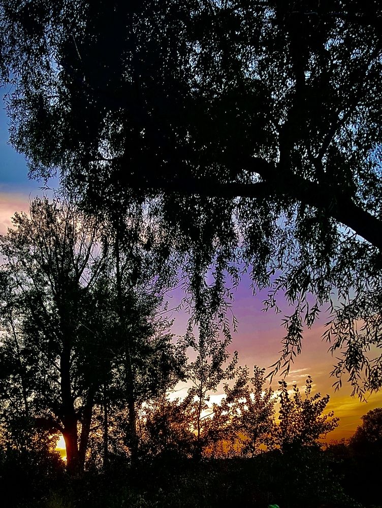 Photograph by Динара Dinara