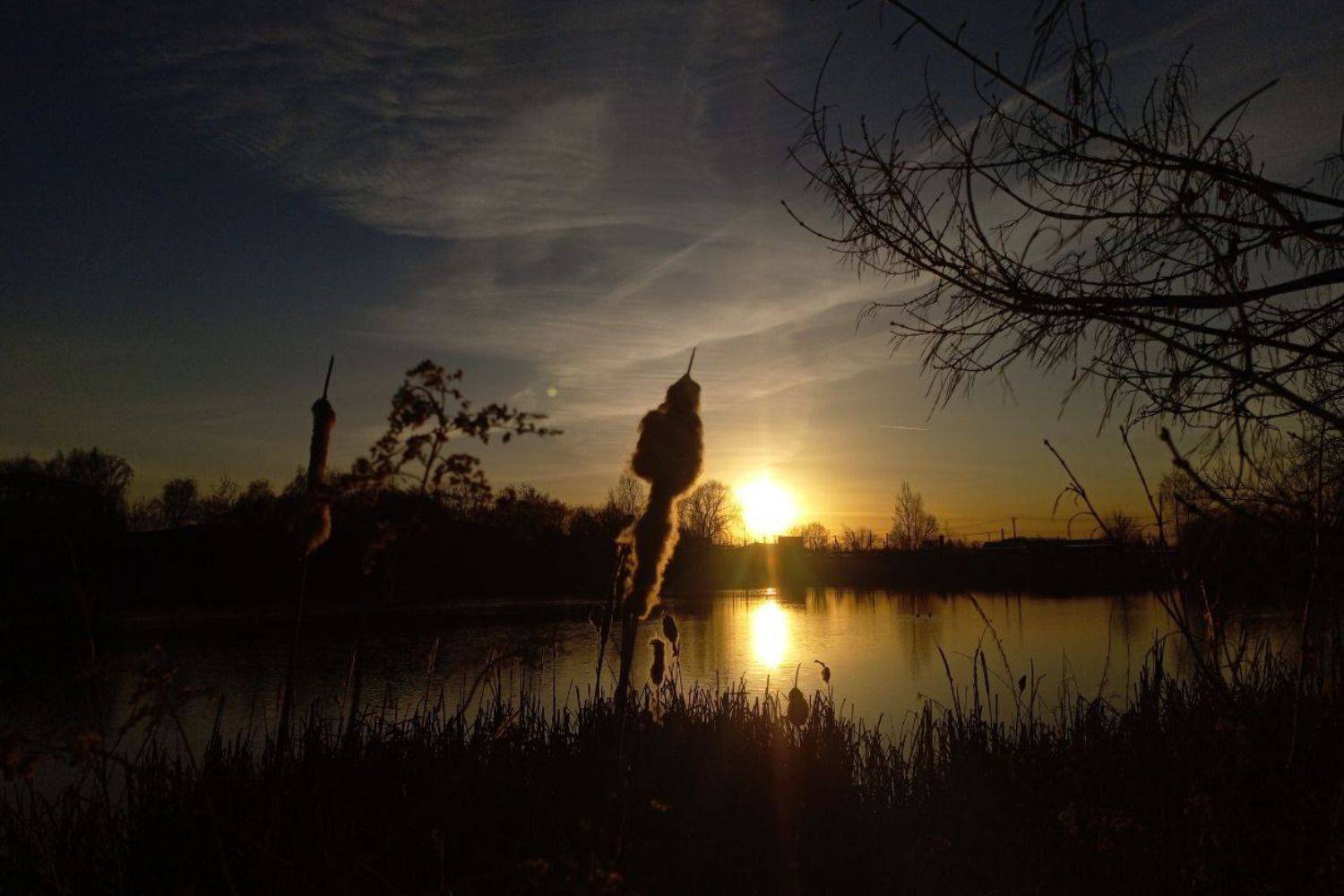 Photo #12863820
