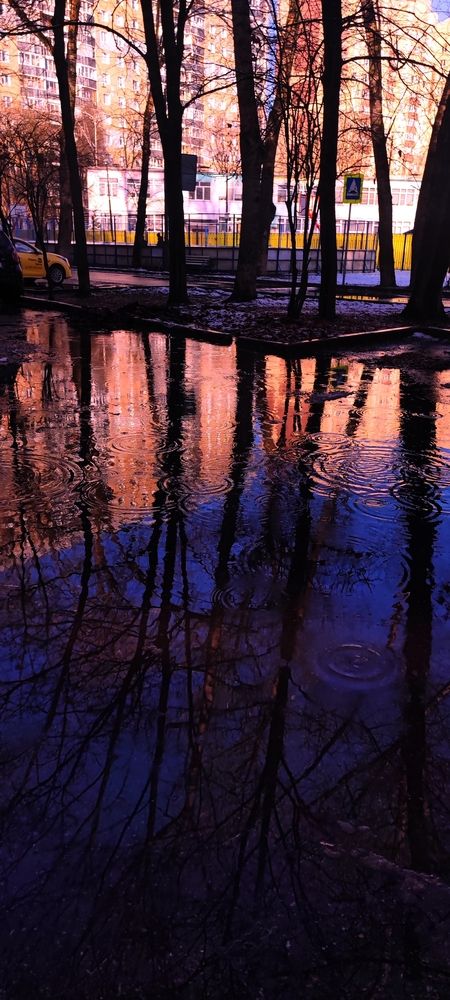 Photograph by Екатерина Александровна