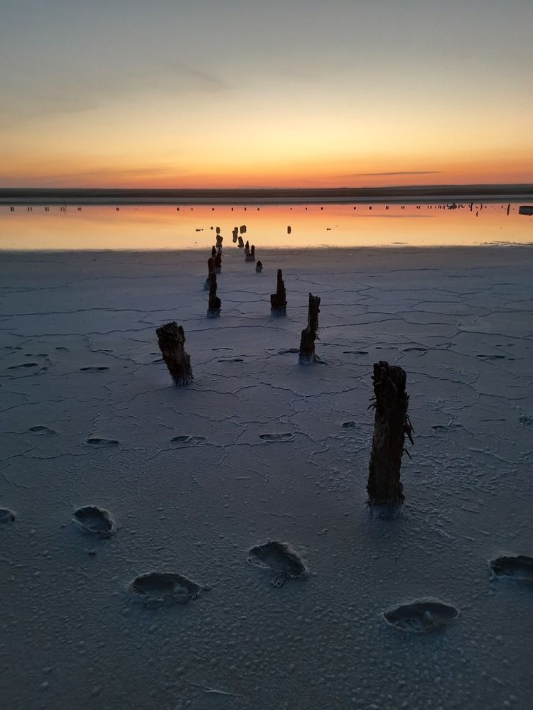 Photograph by Леонид Синев