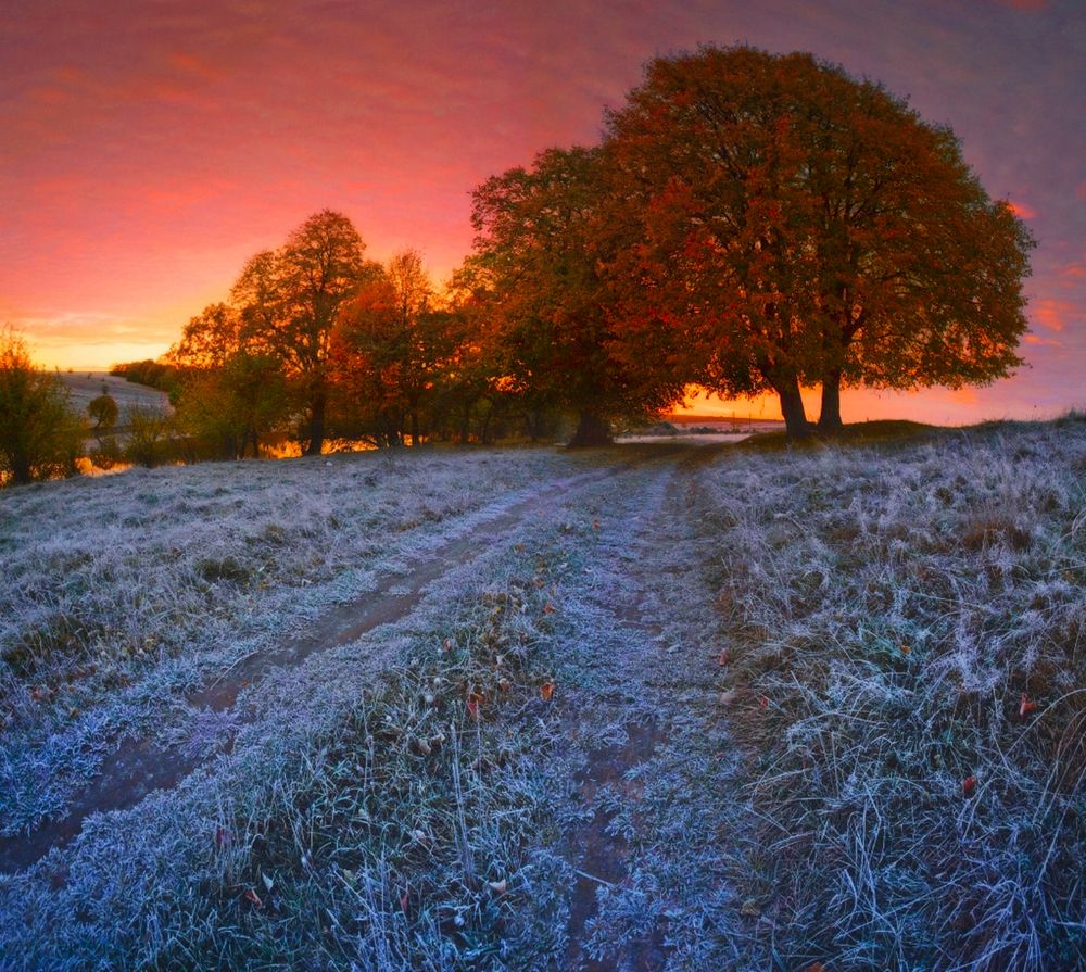 Photograph by Владимир