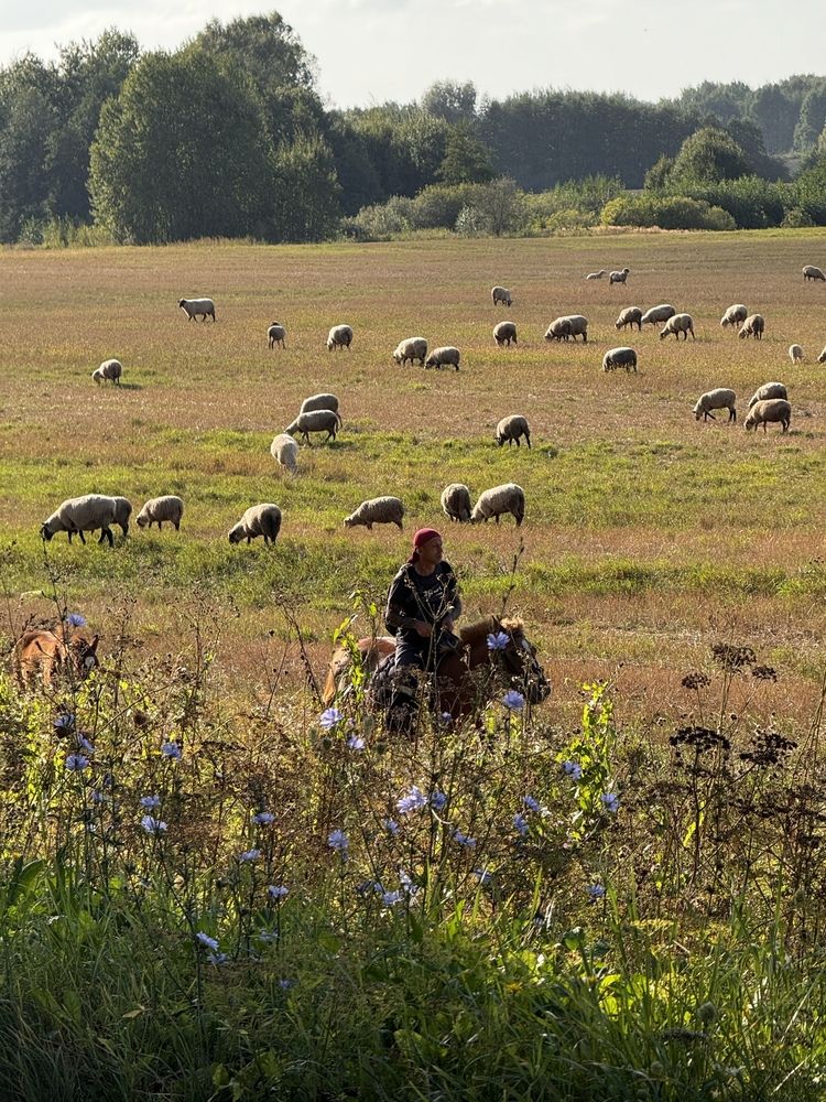 Фотография автора Жанна Колесникова