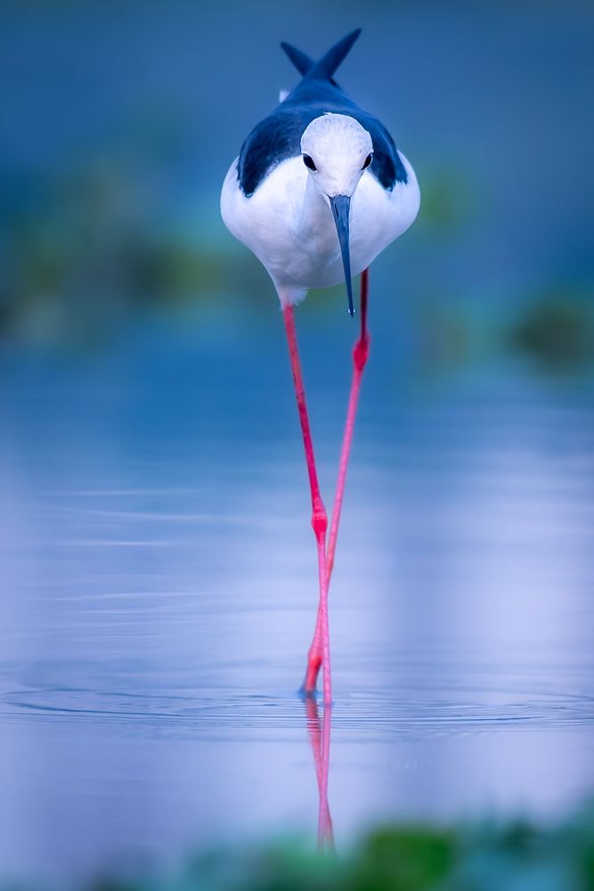 Photograph by Abhishek Pradhan