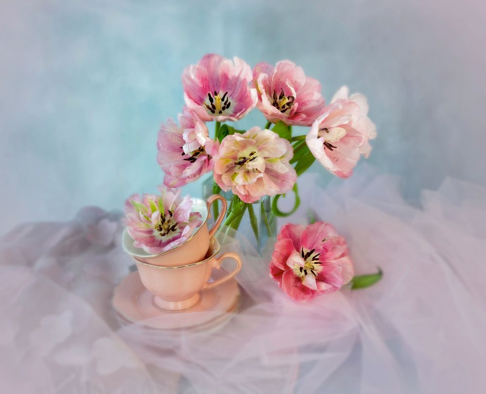 Photograph by NADEZHDA PELYMSKAIA