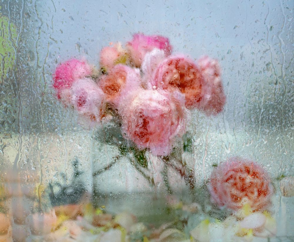 Photograph by NADEZHDA PELYMSKAIA