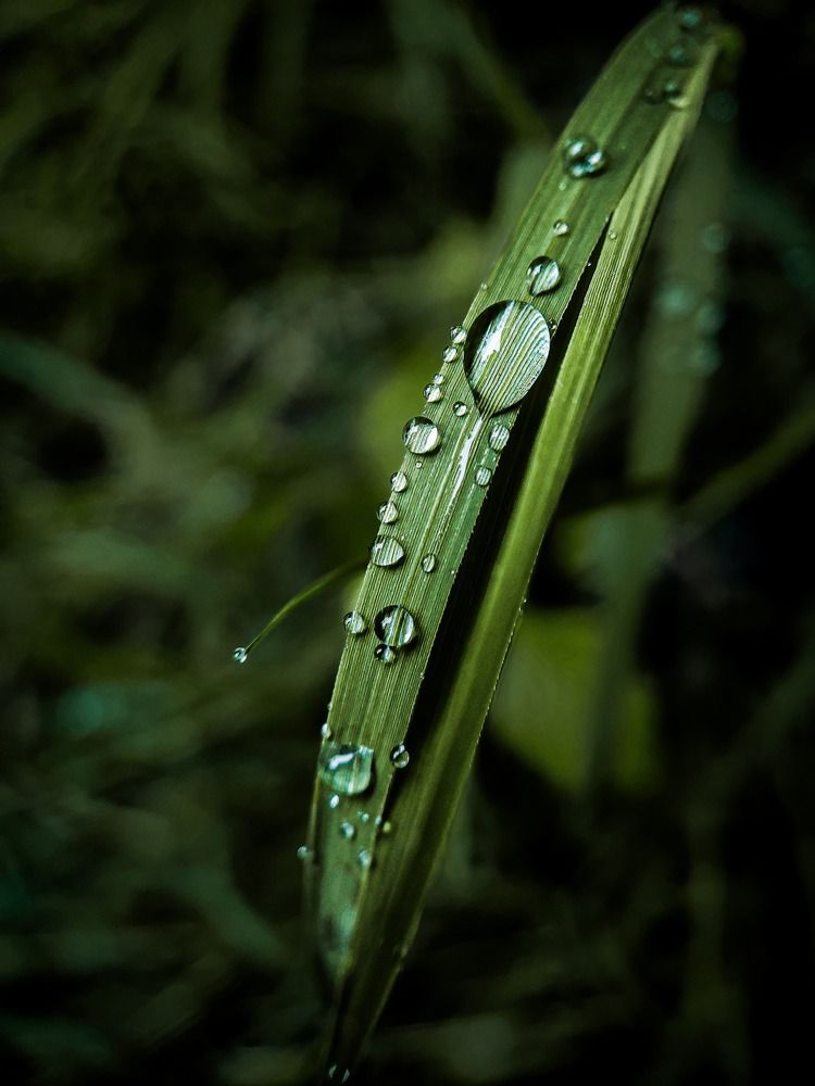 Mobile photography