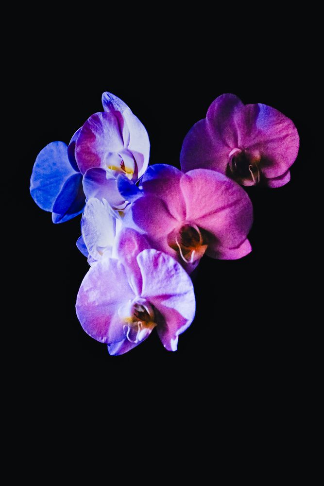 Photograph by Lina Slavinskaya