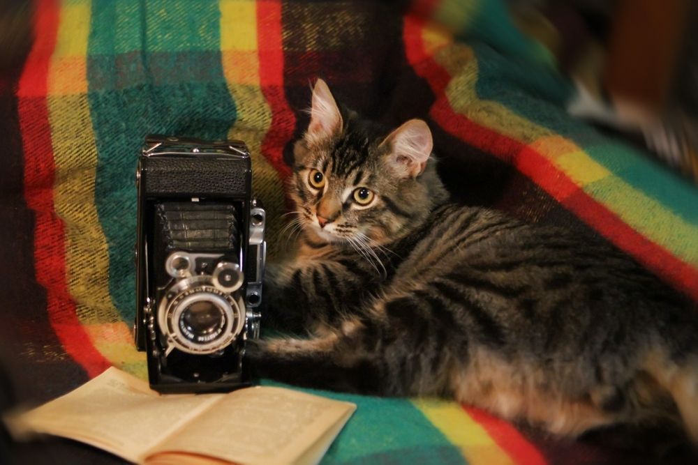 Photograph by Светлана К