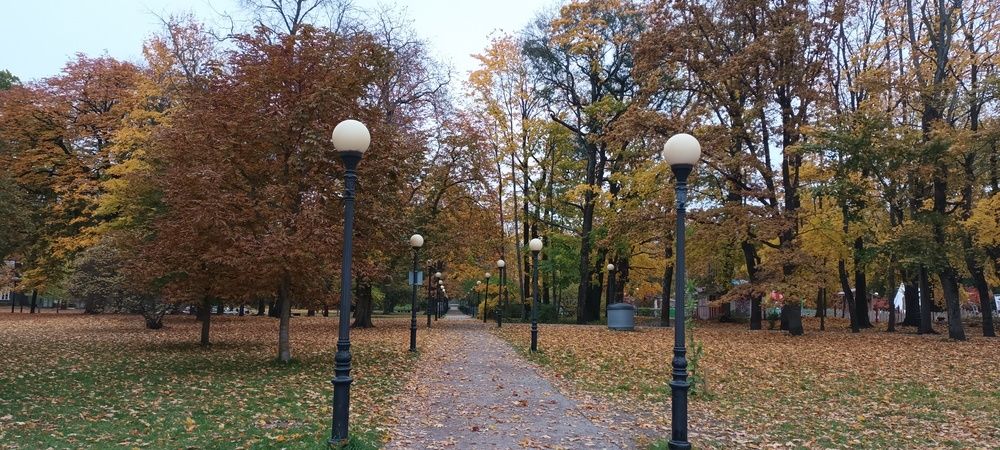 Осень