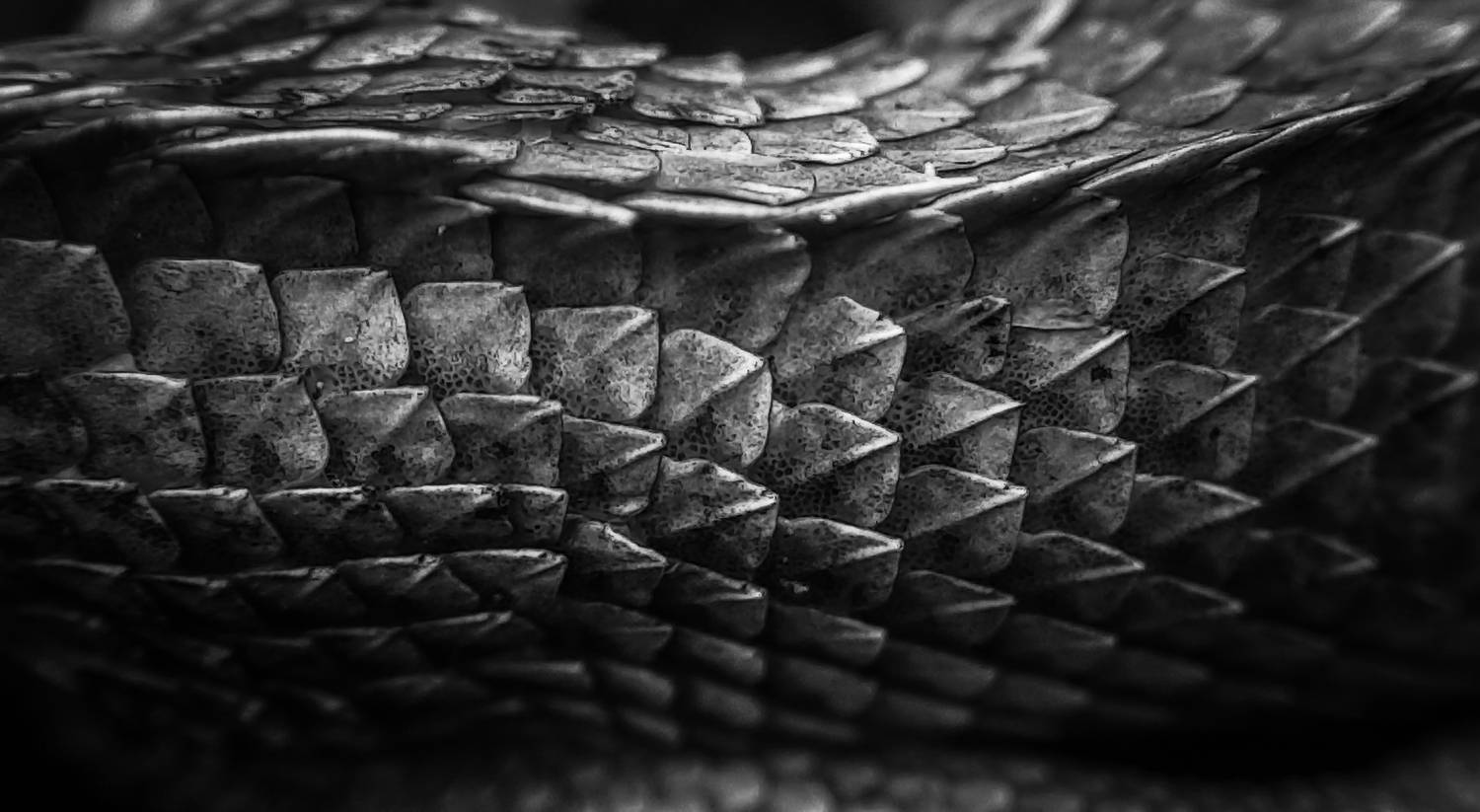 The Patterns of Armor
