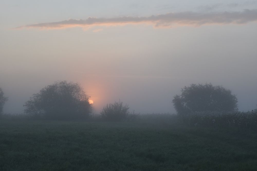 Photograph by Екатерина Лобанова