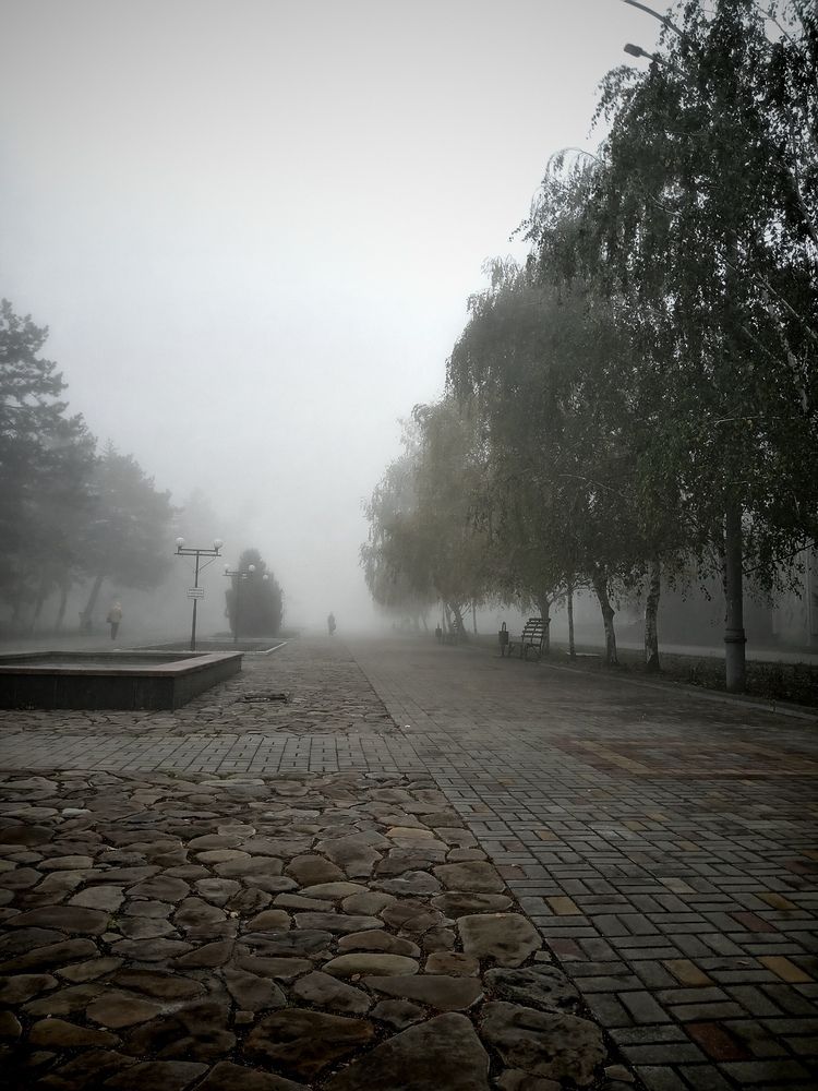 Photo #12864750