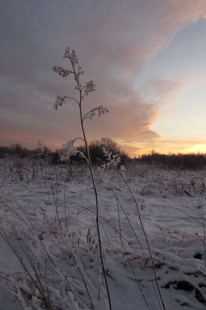 Photograph by Екатерина Лобанова