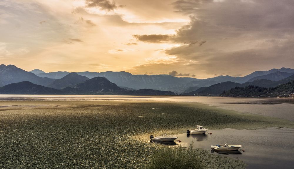 Фотография автора Milena Ivanova